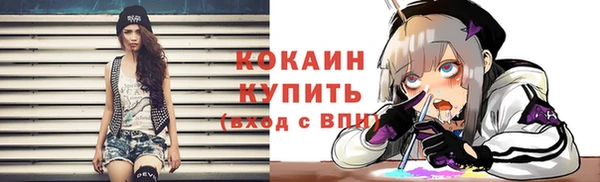 ПСИЛОЦИБИНОВЫЕ ГРИБЫ Абаза