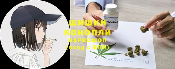 прущие грибы Нижневартовск