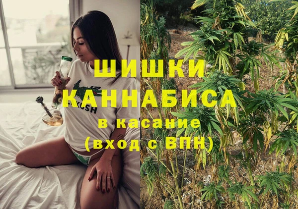 ПСИЛОЦИБИНОВЫЕ ГРИБЫ Абаза