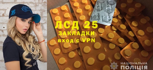 ПСИЛОЦИБИНОВЫЕ ГРИБЫ Абаза