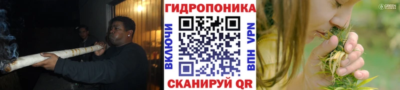 kraken ССЫЛКА  Юрюзань  Каннабис сатива 